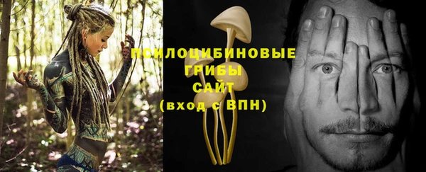 спиды Алексеевка
