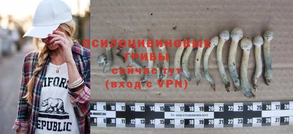 спиды Алексеевка