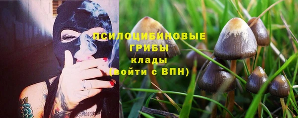 спиды Алексеевка
