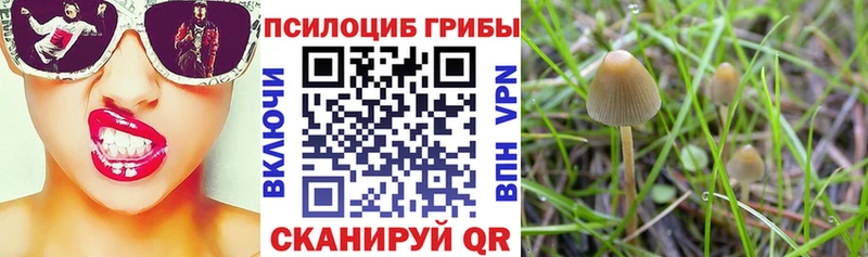 Галлюциногенные грибы мухоморы  что такое наркотик  Мегион 